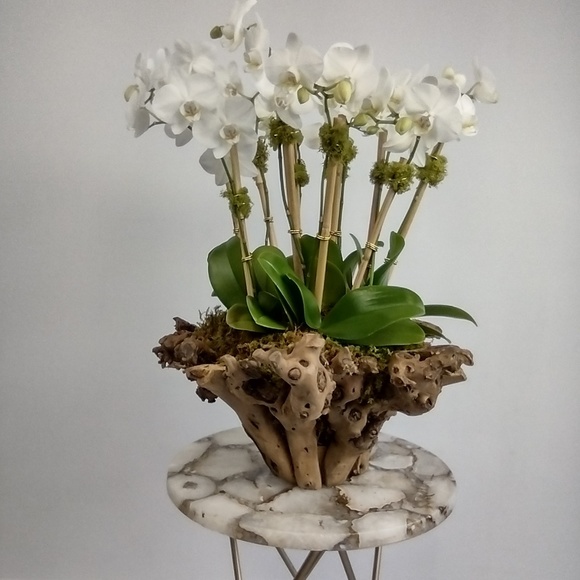 Meet your Posher, Ana - Picture 1 of 1